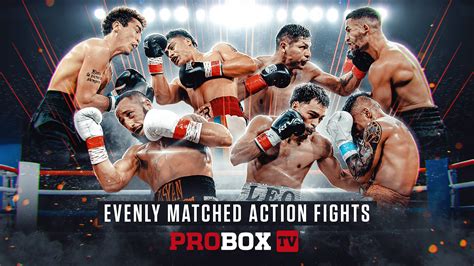 Boxing News, Live Fights, Boxing Talk Shows.